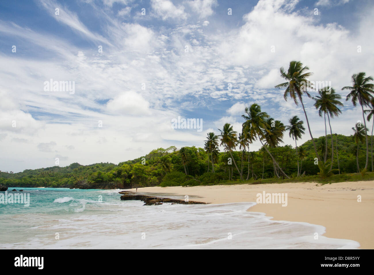 Rincon beach, République dominicaine. Banque D'Images