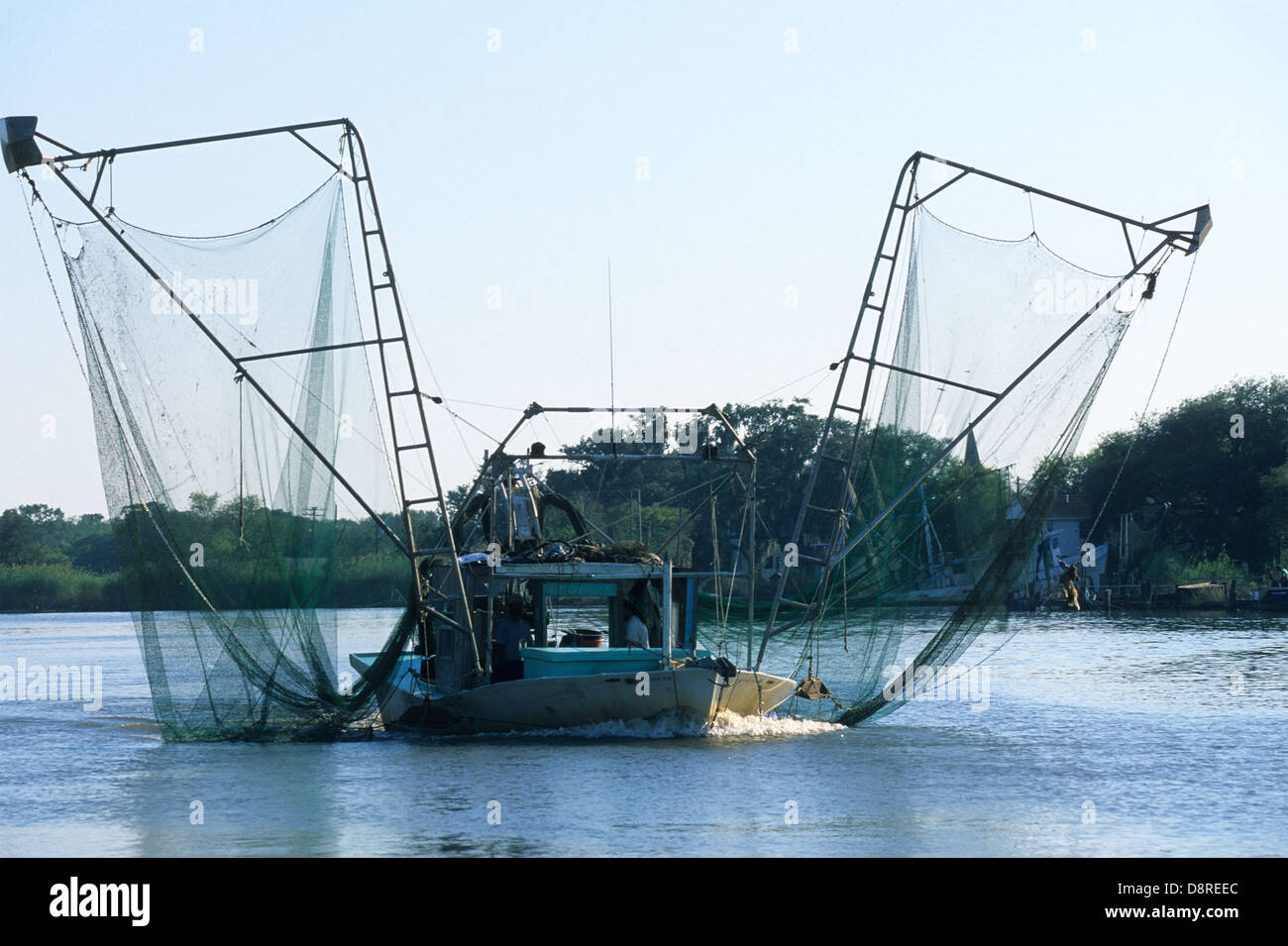 La Louisiane, Elk283-4676 Pays Cajun Bayou, Caillou, crevettes voile Banque D'Images