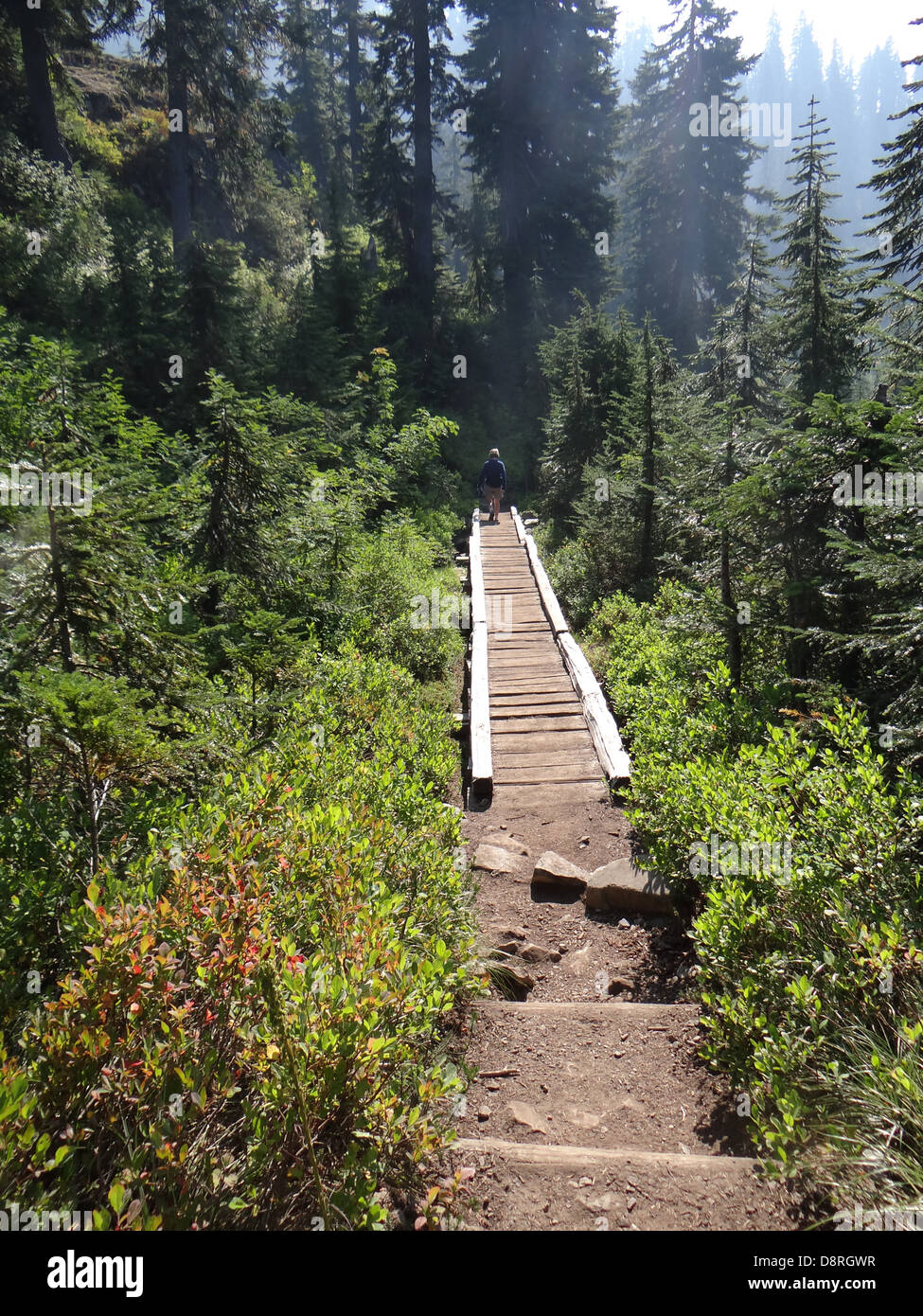 Zone marécageuse traversée randonneur sur boardwalk près de Snow Lake, Snoqualmie Pass, Washington Banque D'Images