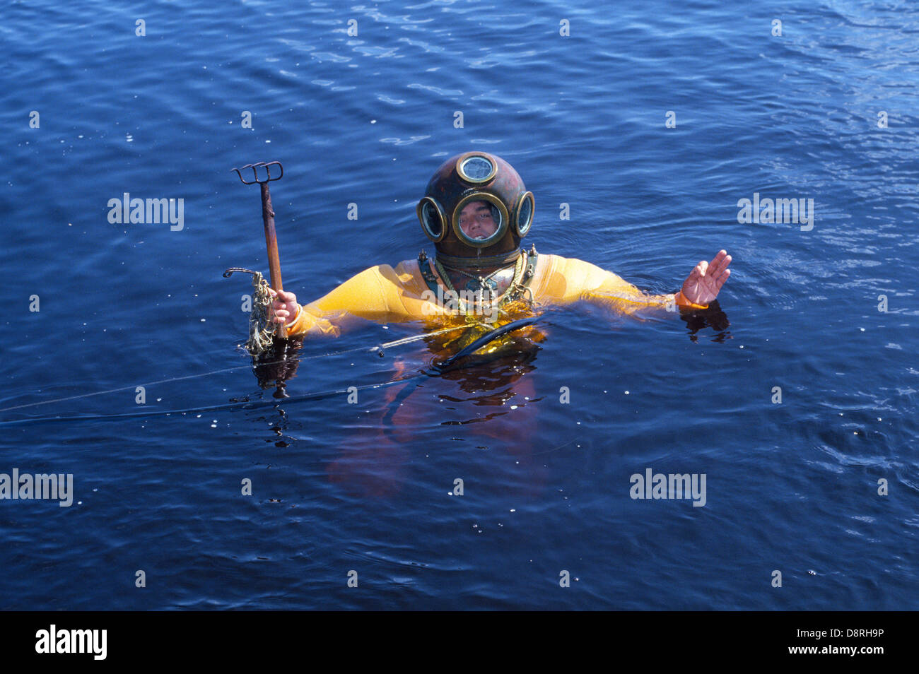 Un jeune plongeur éponge dans un hard-hat combinaison de plongée bell augmente avec son râteau à l'éponge du golfe du Mexique près de Tarpon Springs, Florida, USA Banque D'Images