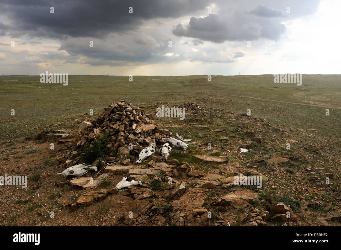 Paysage de Mongolie Banque D'Images