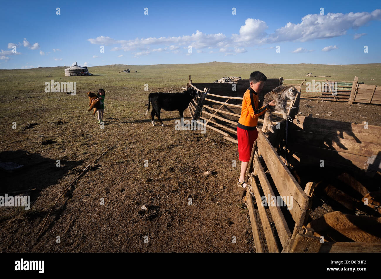 La vie rurale en Mongolie. Banque D'Images