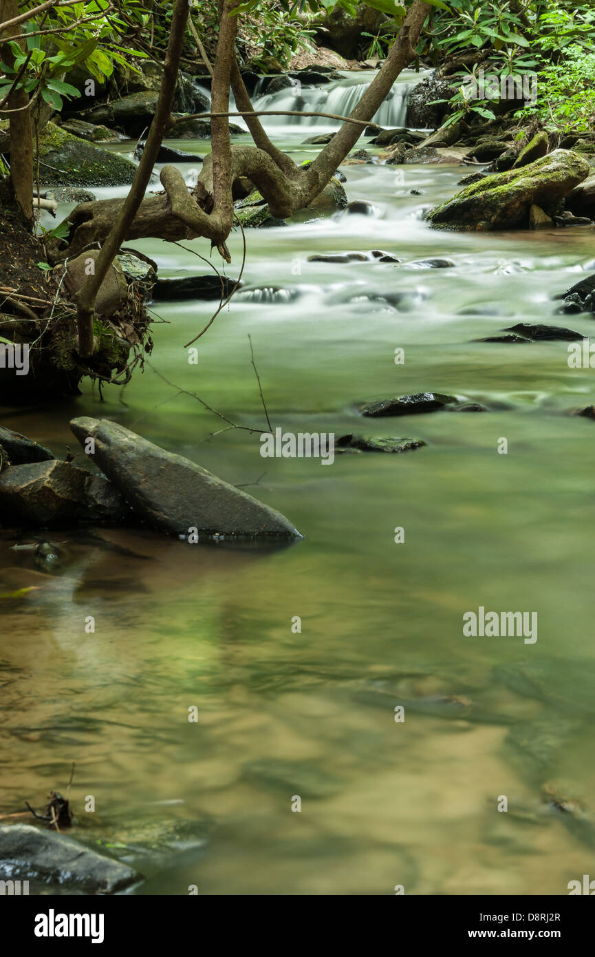 Le bruit gargouillis d'une crique apaisante apaise l'âme dans ce cadre édénique près d'Asheville, en Caroline du Nord. (ÉTATS-UNIS) Banque D'Images