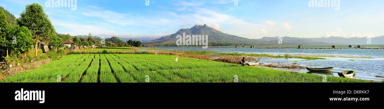 Paysage avec des champs d'oignons, le lac et le volcan Batur au lever du soleil. Bali Banque D'Images