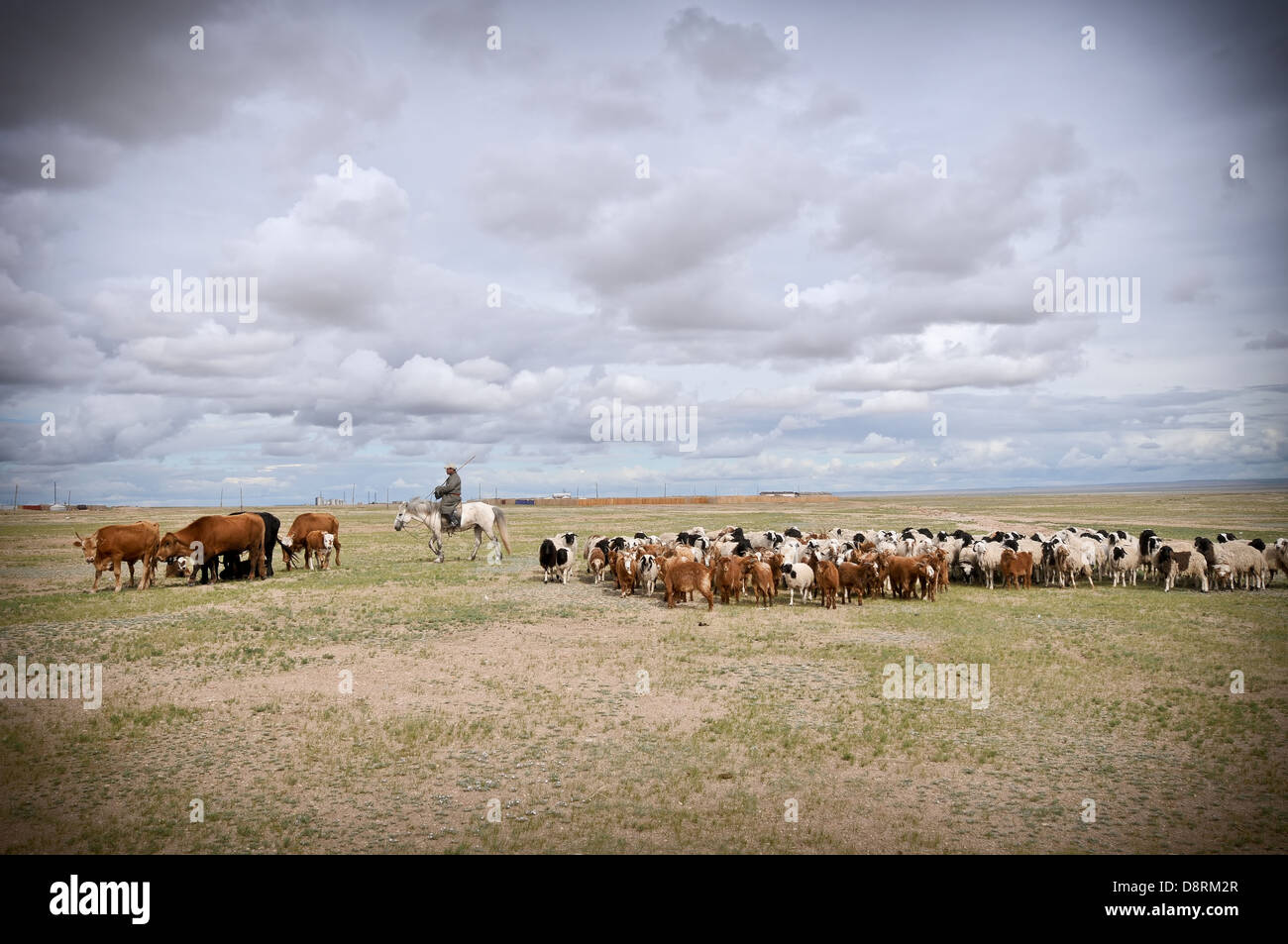 Paysage de Mongolie Banque D'Images