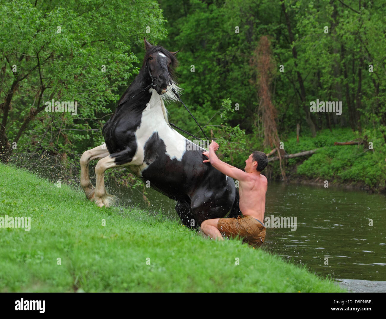 Les hommes son cheval de baignade dans la rivière Banque D'Images