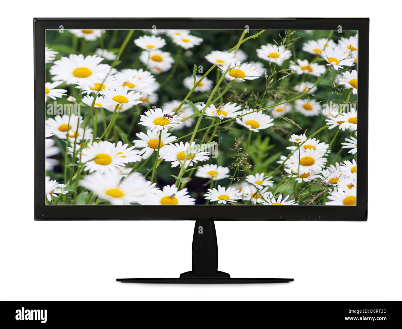 Moniteur LCD noir avec prairie floraison isolé sur fond blanc. Libre. Banque D'Images