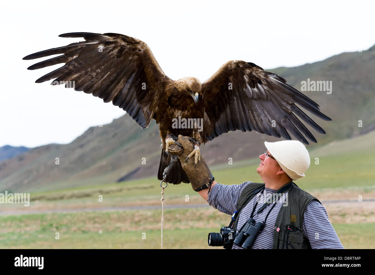 Golden Eagle avec ailes propagation Banque D'Images