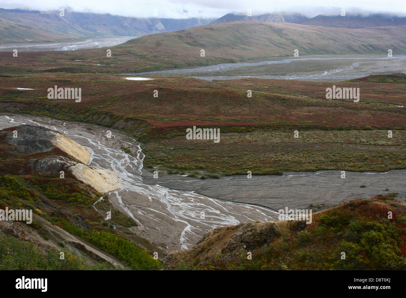 Une vue de la rivière Toklat polychrome de col donnent sur le long de la route du lac étonnant dans le parc national Denali, Alaska, USA Banque D'Images