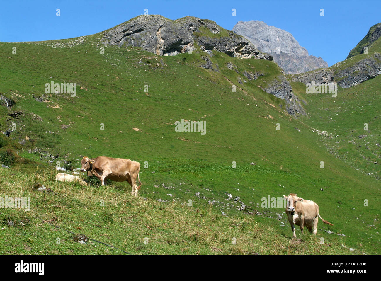 Paysage de montagne à près de Fürenalp Engelberg sur les Alpes Suisses Banque D'Images