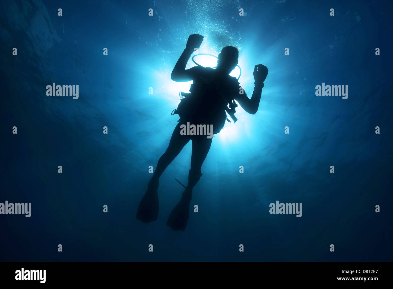 Lumière diver silhouette plongée mer océan eau Banque D'Images