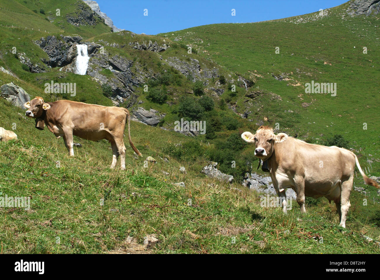 Paysage de montagne à près de Fürenalp Engelberg sur les Alpes Suisses Banque D'Images