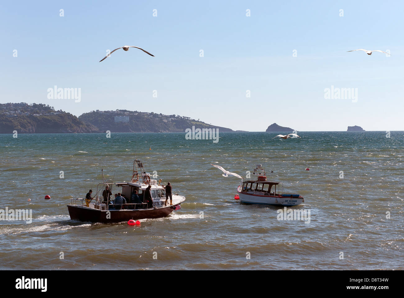 Les bateaux de pêche quitte le port de Paignton, voile, pêche, mer, bateau, chalutier, petite, de l'océan, bleu, l'eau, profonde, pêcheur, island, co Banque D'Images