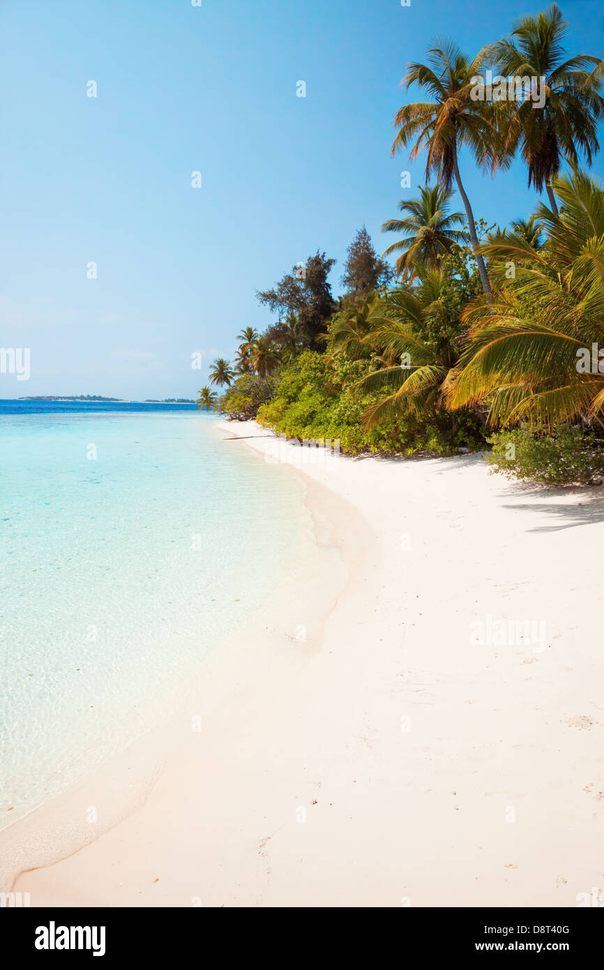 Beach dans les Maldives, l'océan indien Banque D'Images