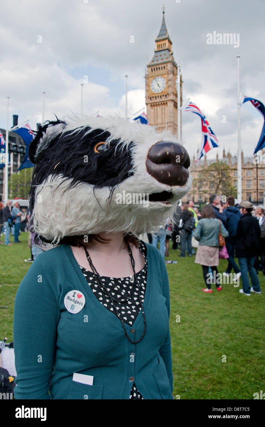 Enregistrer les blaireaux d'être réformés protester par centre de Londres Banque D'Images