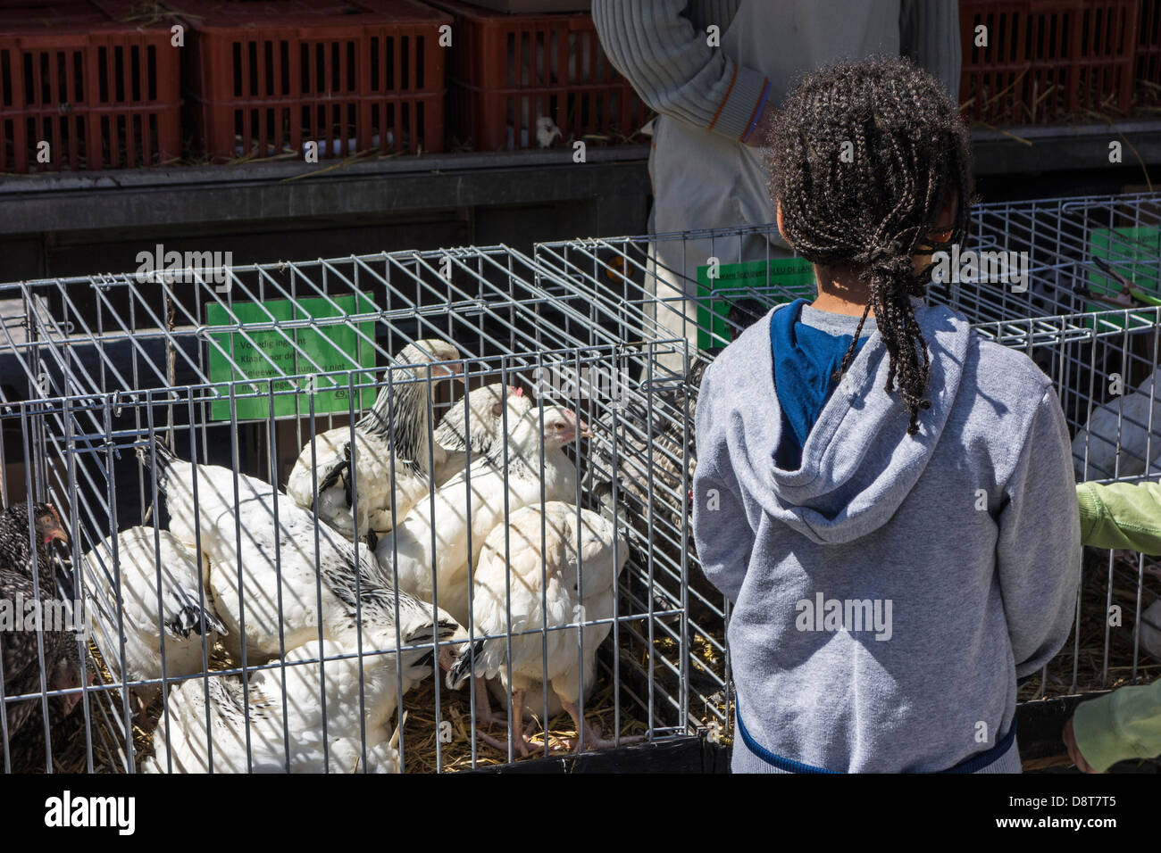 Exposant au stand de la volaille et de l'enfant regardant des poulets dans des cages pour la vente au marché des animaux domestiques Banque D'Images