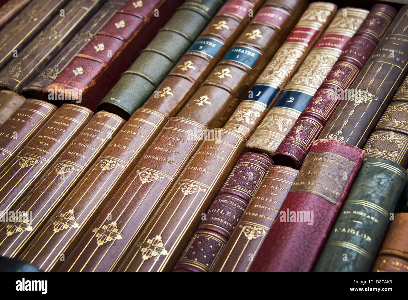L'ancien français Livres avec couvertures en cuir Banque D'Images
