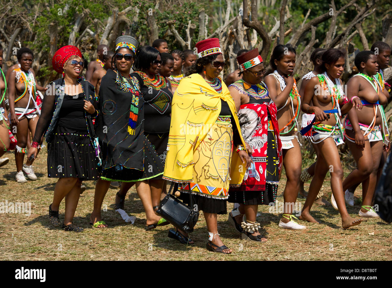 Les jeunes filles et les femmes mariées au Zulu Reed Dance à eNyokeni Palace, Nongoma, Afrique du Sud Banque D'Images