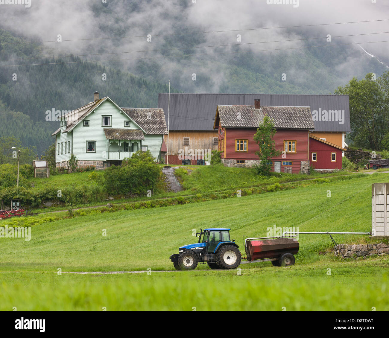 Les terres agricoles, la Norvège, l'Mundal Banque D'Images