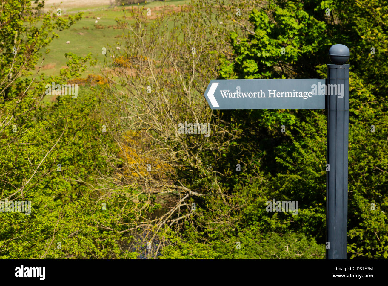 Sentier direction de l'Ermitage à Warkworth, Northumberland. Banque D'Images