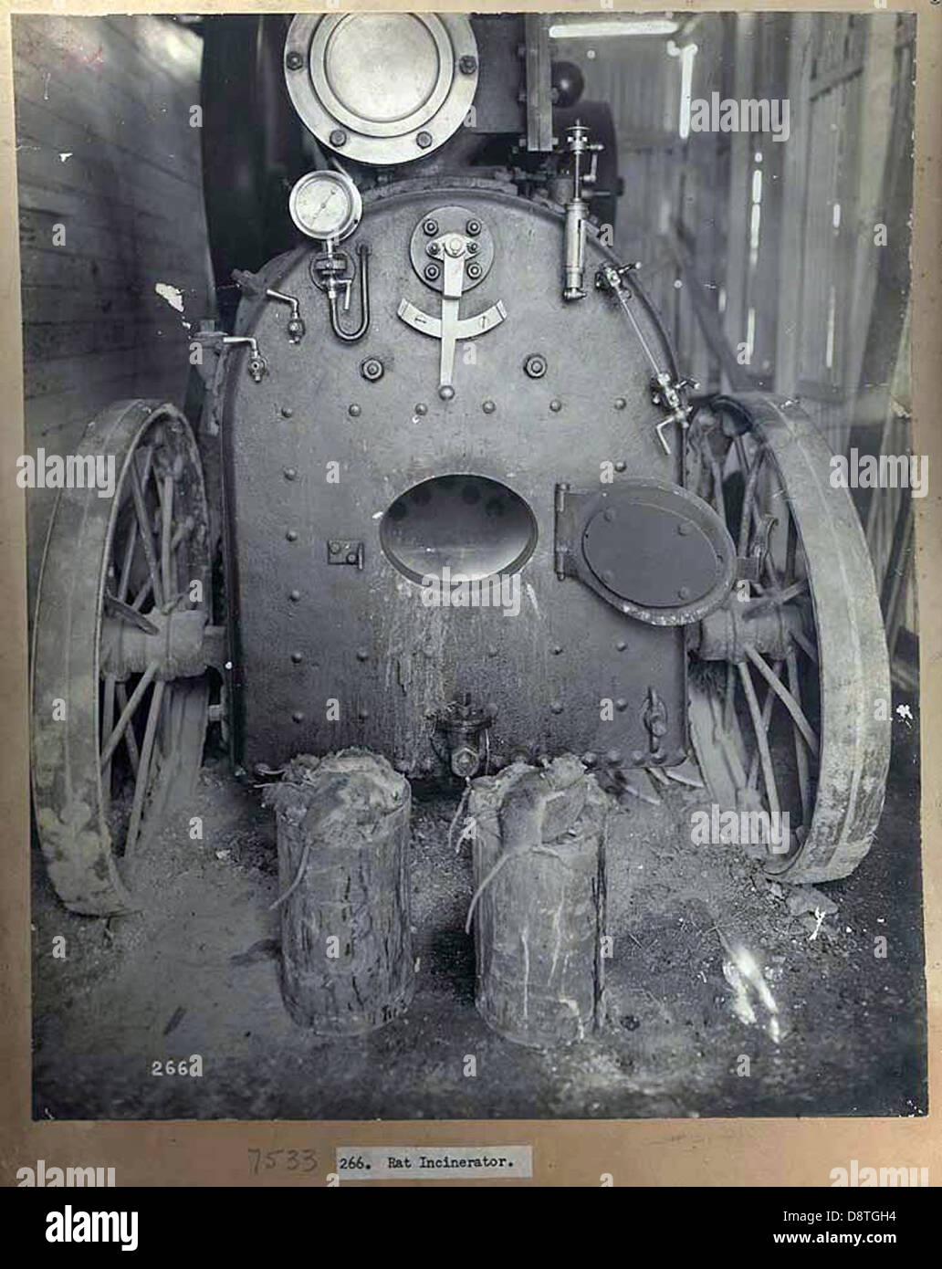 Cette photographie de 1900 représente l'incinérateur de rats utilisé lors de l'épidémie de peste bubonique à Sydney. Le dispositif faisait partie des efforts de santé publique visant à contrôler la propagation de la maladie. Banque D'Images