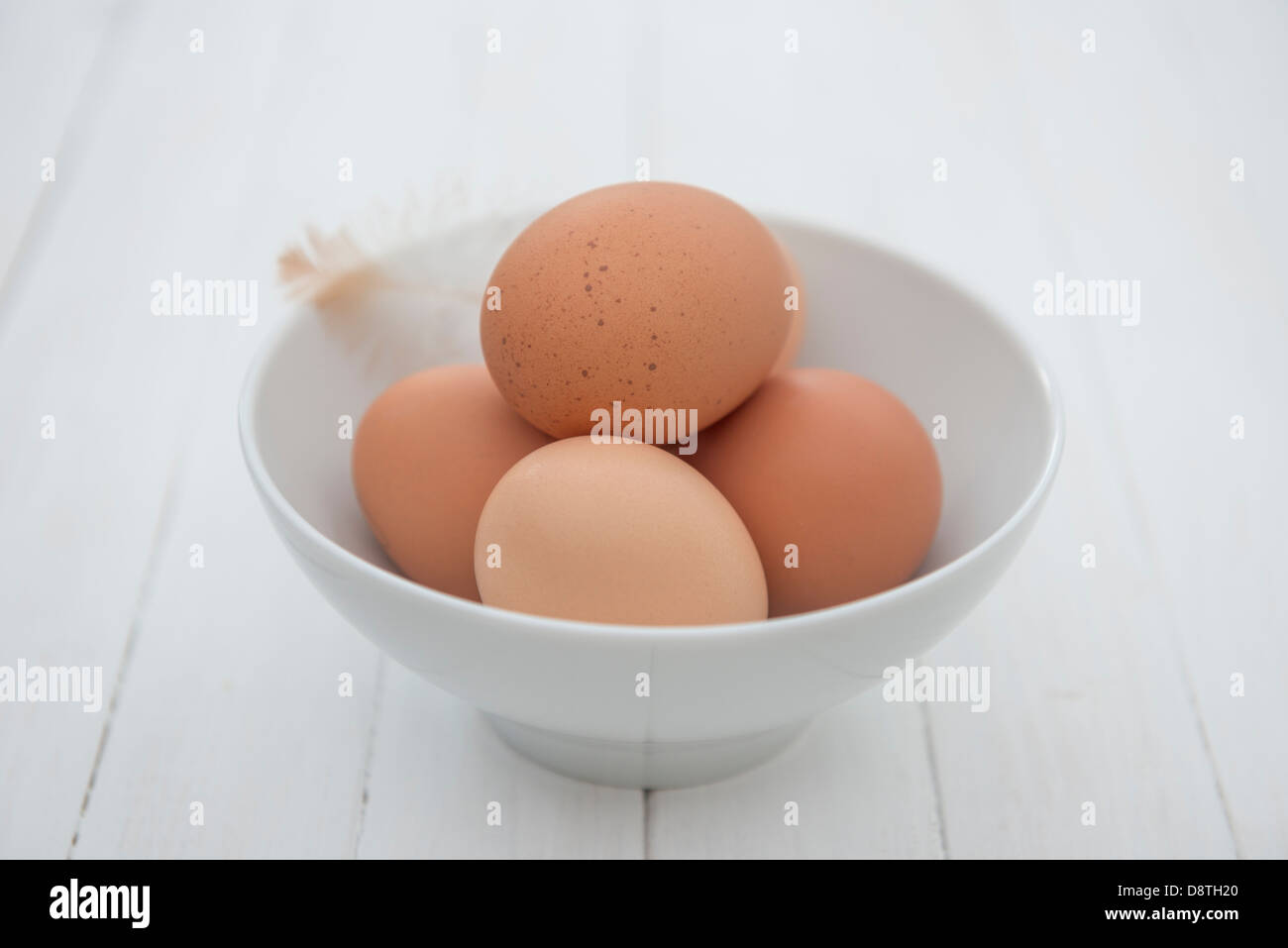 Biologiques fraîchement posées des œufs dans un bol. Banque D'Images