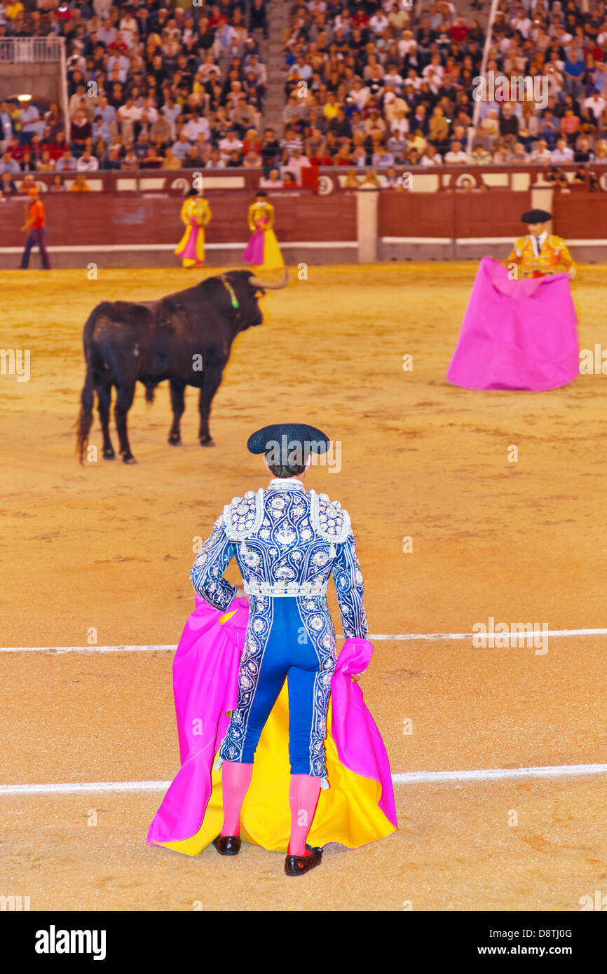 Matador et bull dans la tauromachie à Madrid Banque D'Images