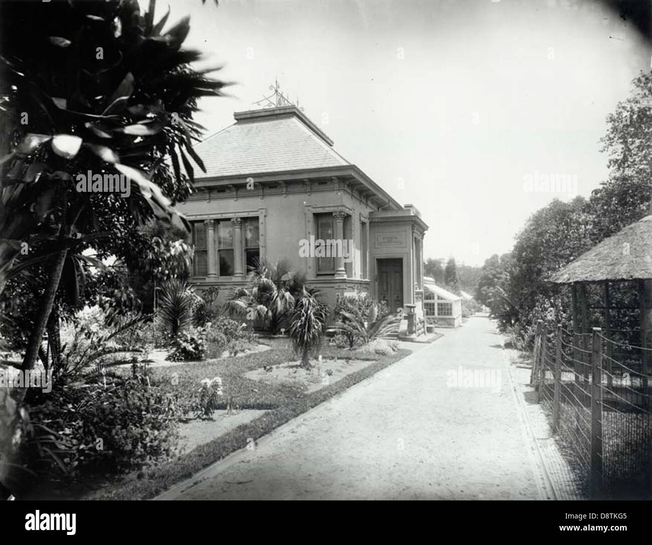 Le musée des jardins botaniques royaux de Sydney abrite d'importantes archives documentant l'histoire naturelle et la recherche botanique de la Nouvelle-Galles du Sud, offrant un aperçu précieux de la flore de la région. Banque D'Images