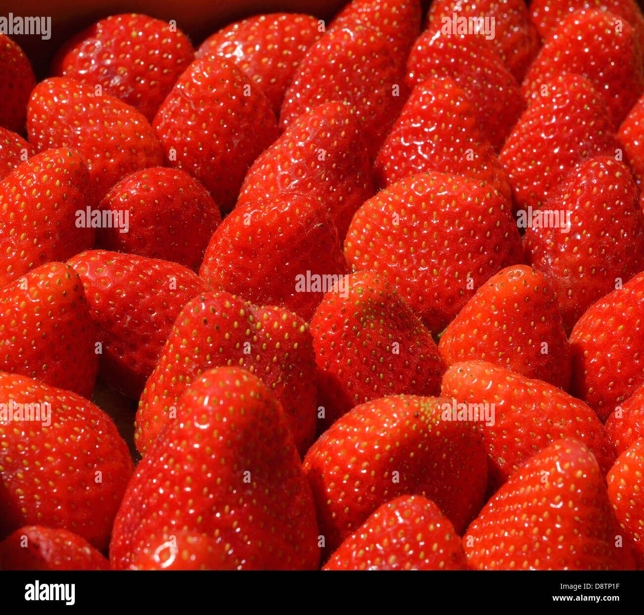 Close up detail de fraises Banque D'Images