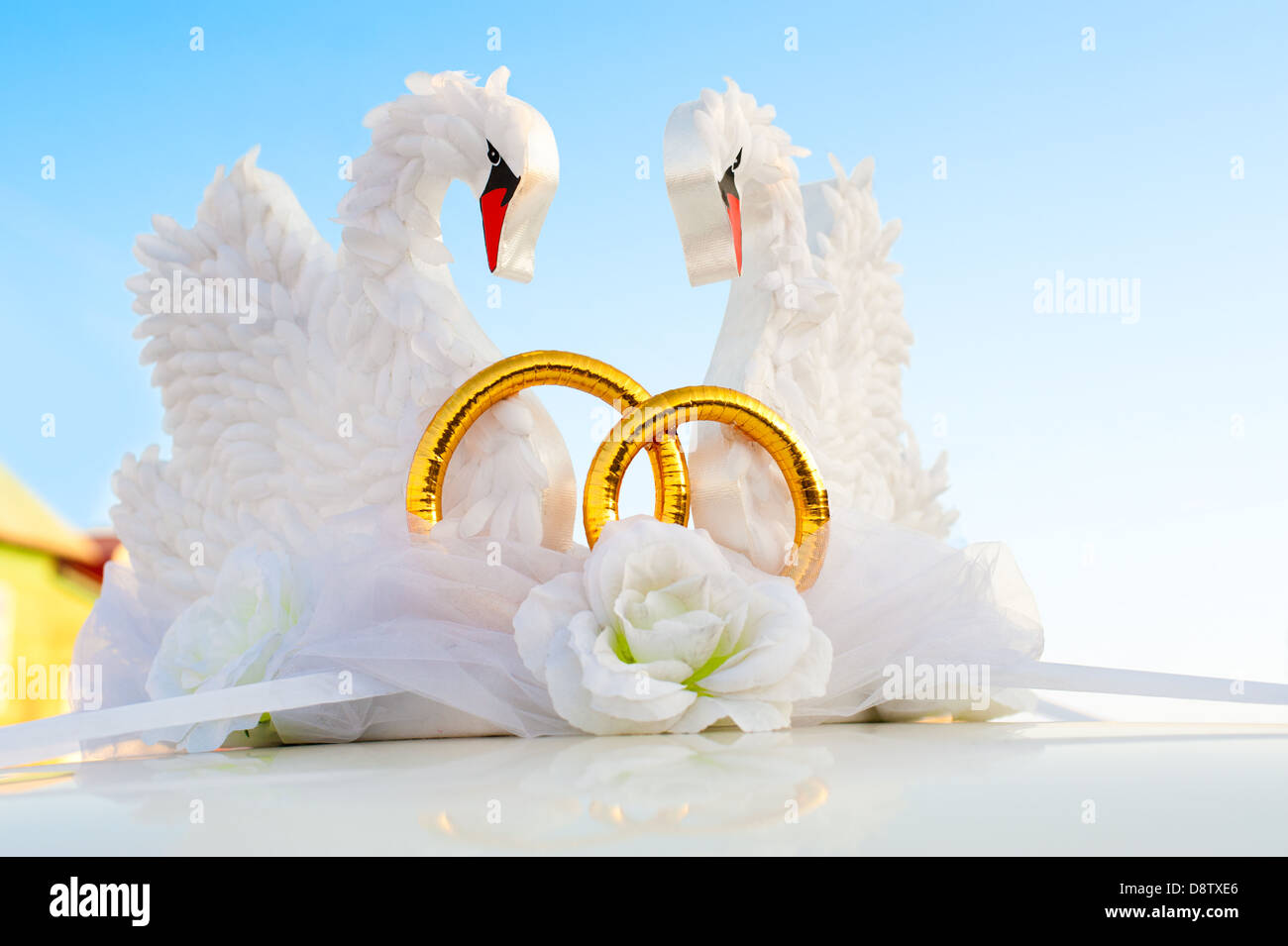 Swans comme décoration mer Banque D'Images