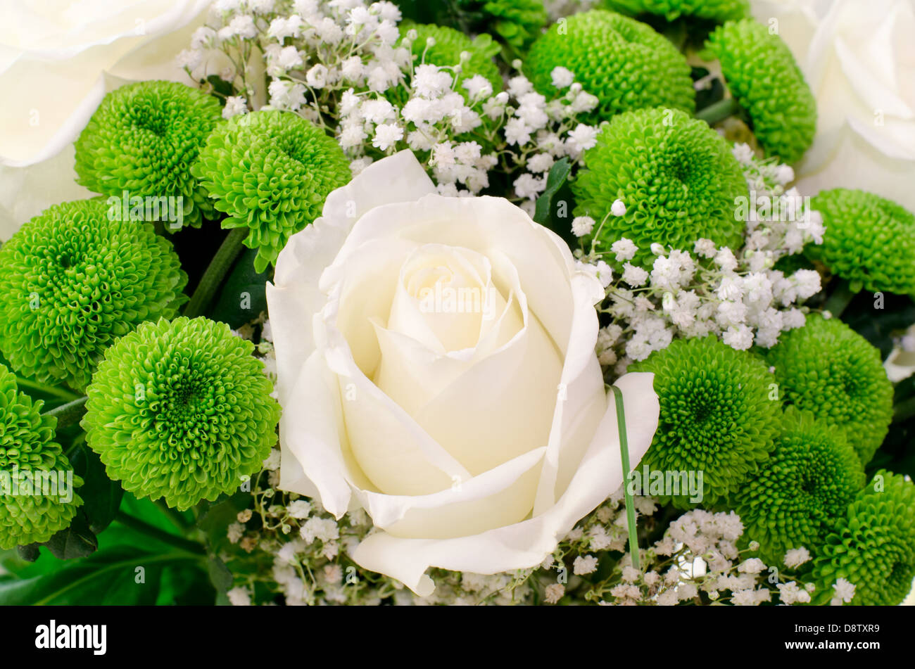 White Rose et fleurs vertes Banque D'Images