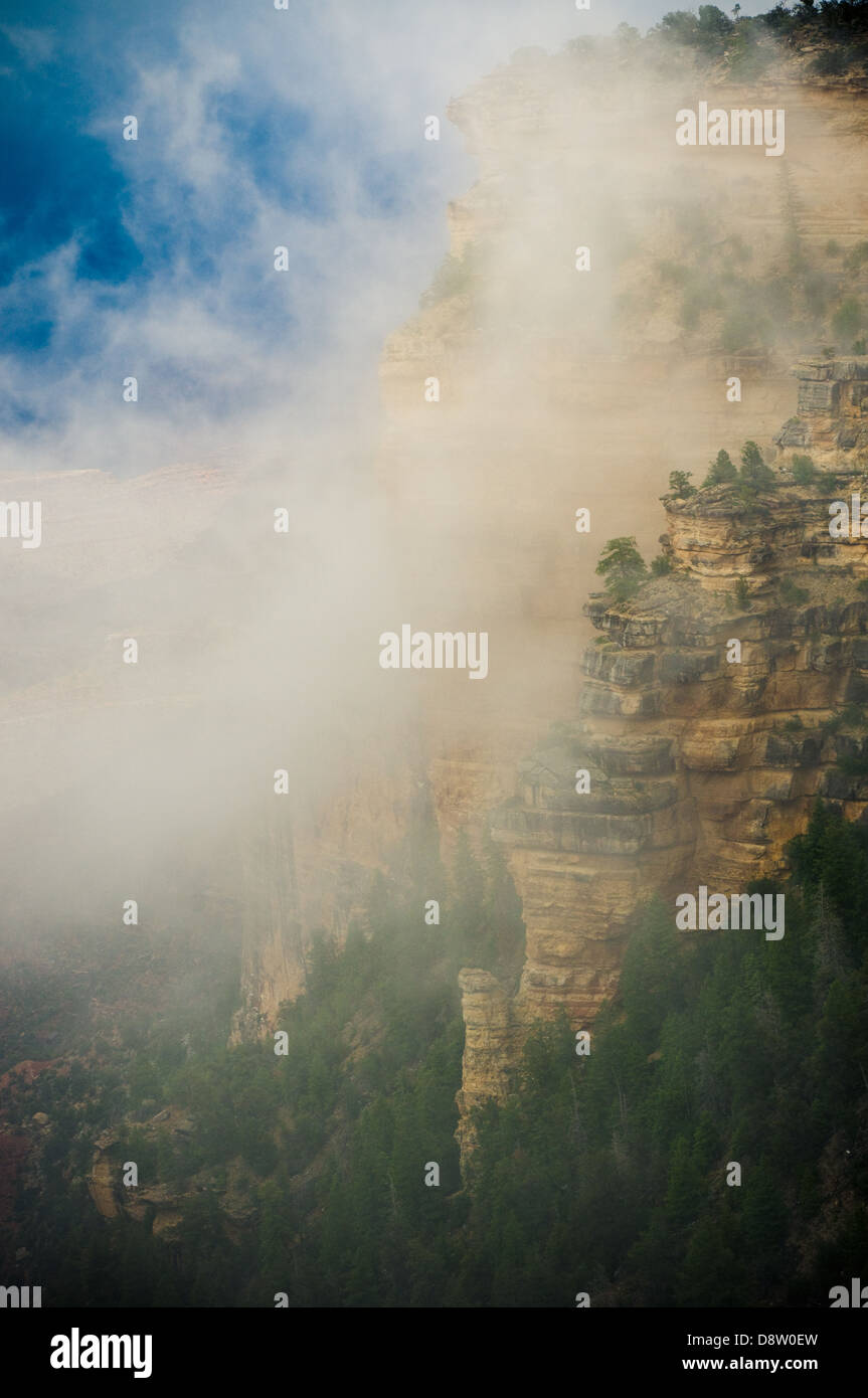 Grand Canyon dans le brouillard Banque D'Images