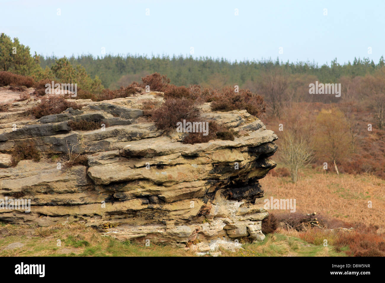 Rock formation pile érodé en campagne, Parc National des North Yorkshire Moors, l'Angleterre. Banque D'Images