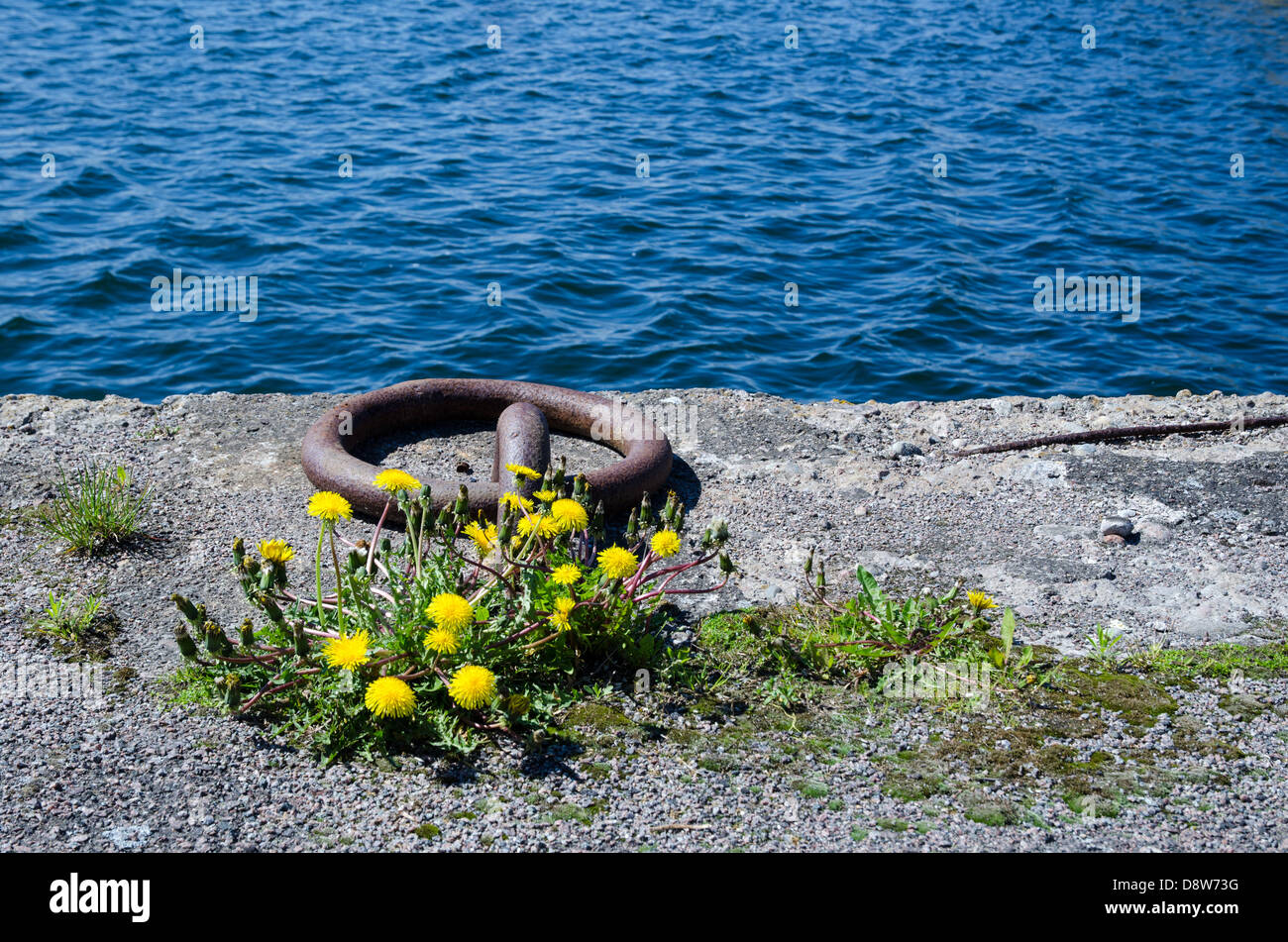 Ancienne boucle d'amarrage Banque D'Images