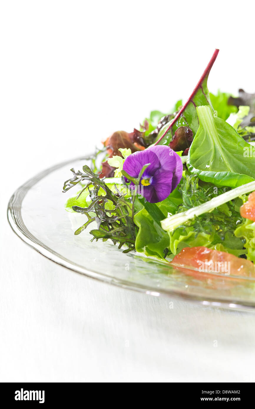 Salade mixte avec les germes et les pensées Banque D'Images