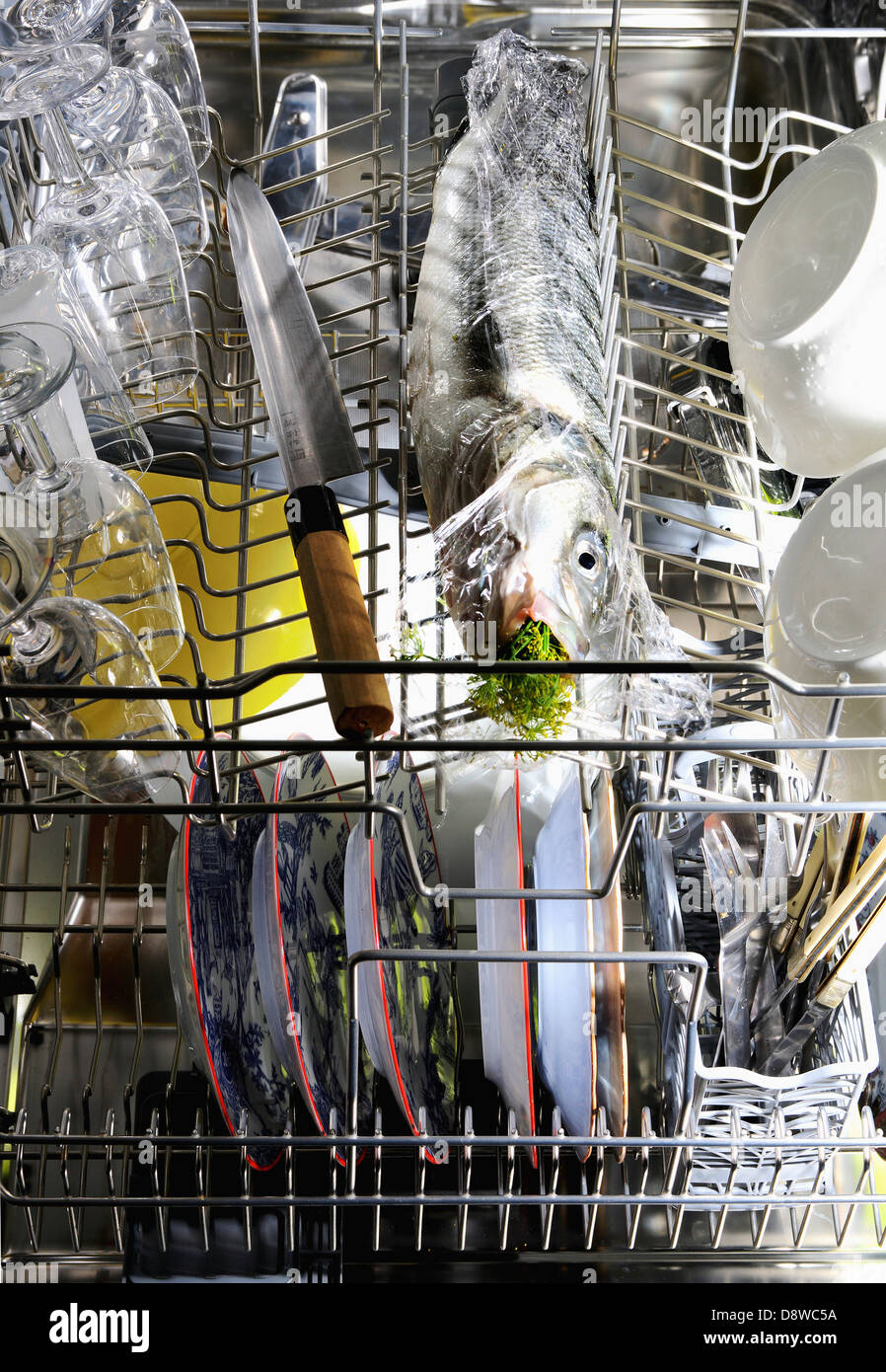 Poissons plats et enveloppés dans des Ziploc® d'être cuit dans un lave-vaisselle Banque D'Images