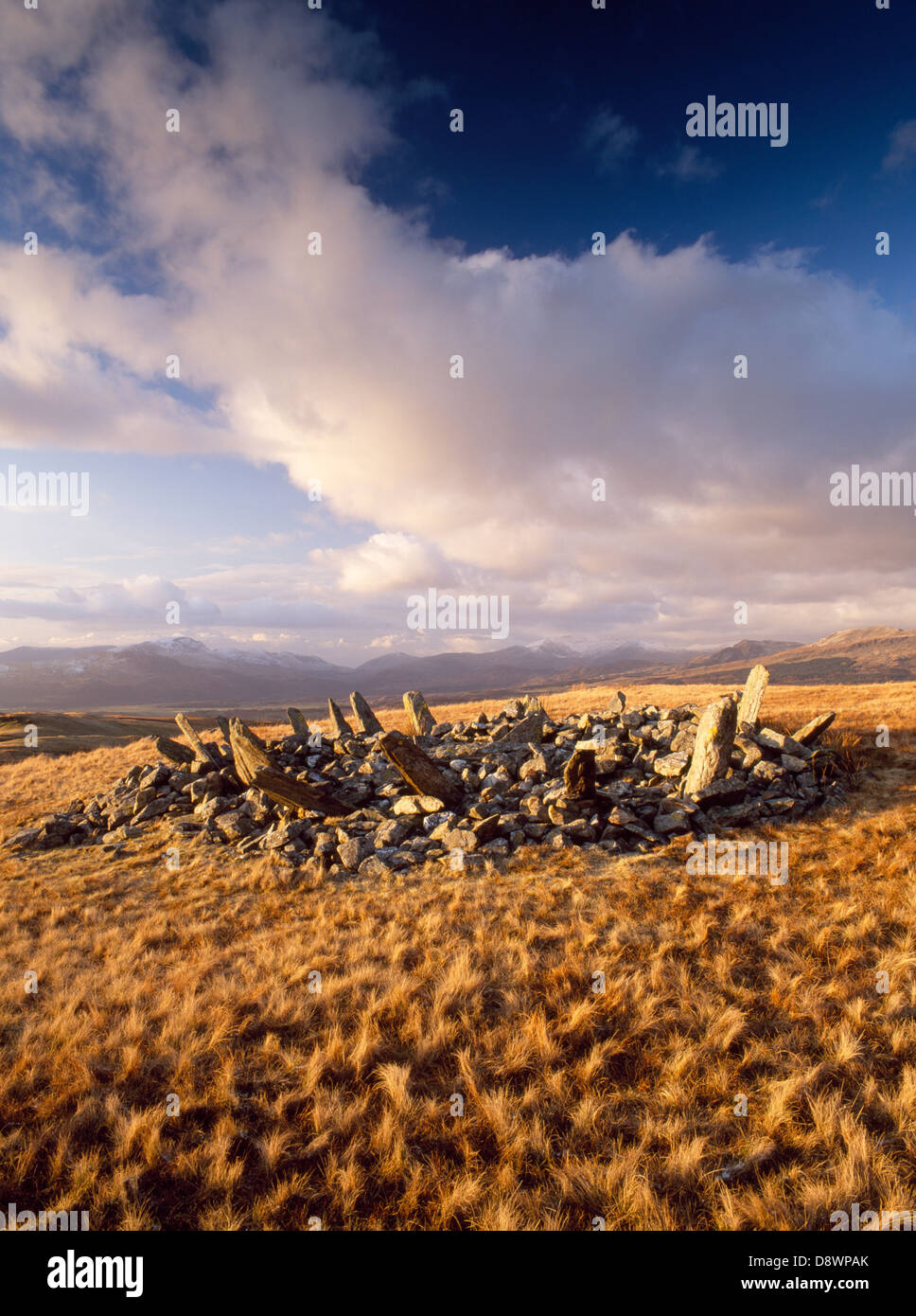 Bryn Cader Faner, de l'Âge de Bronze cairn ronde avec un anneau de rayons 'pierre' la projection vers l'extérieur, sur les landes avec la gamme Snowdon montagnes au-delà. Banque D'Images