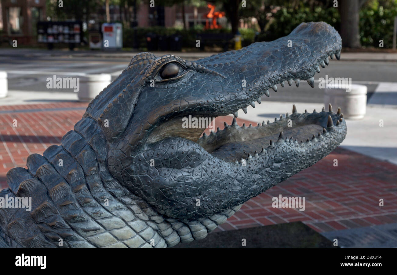 Tête d'un alligator en bronze statue, mascotte de l'Université de Floride, se trouve en face de l'Ben Hill Griffin stadium. Banque D'Images