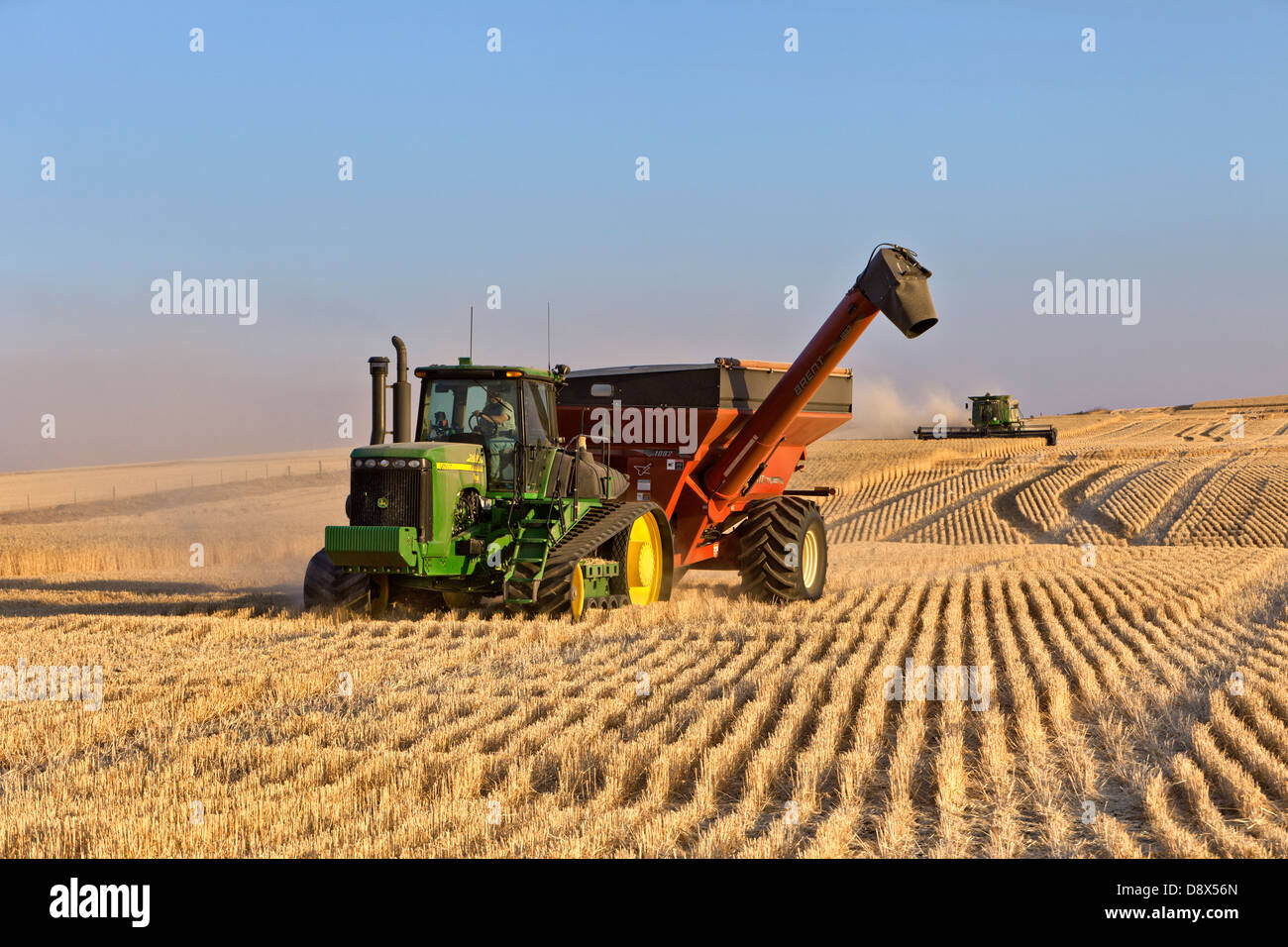 Tracteur John Deere tirant Brent Banque sur chariot, récolte de blé. Banque D'Images