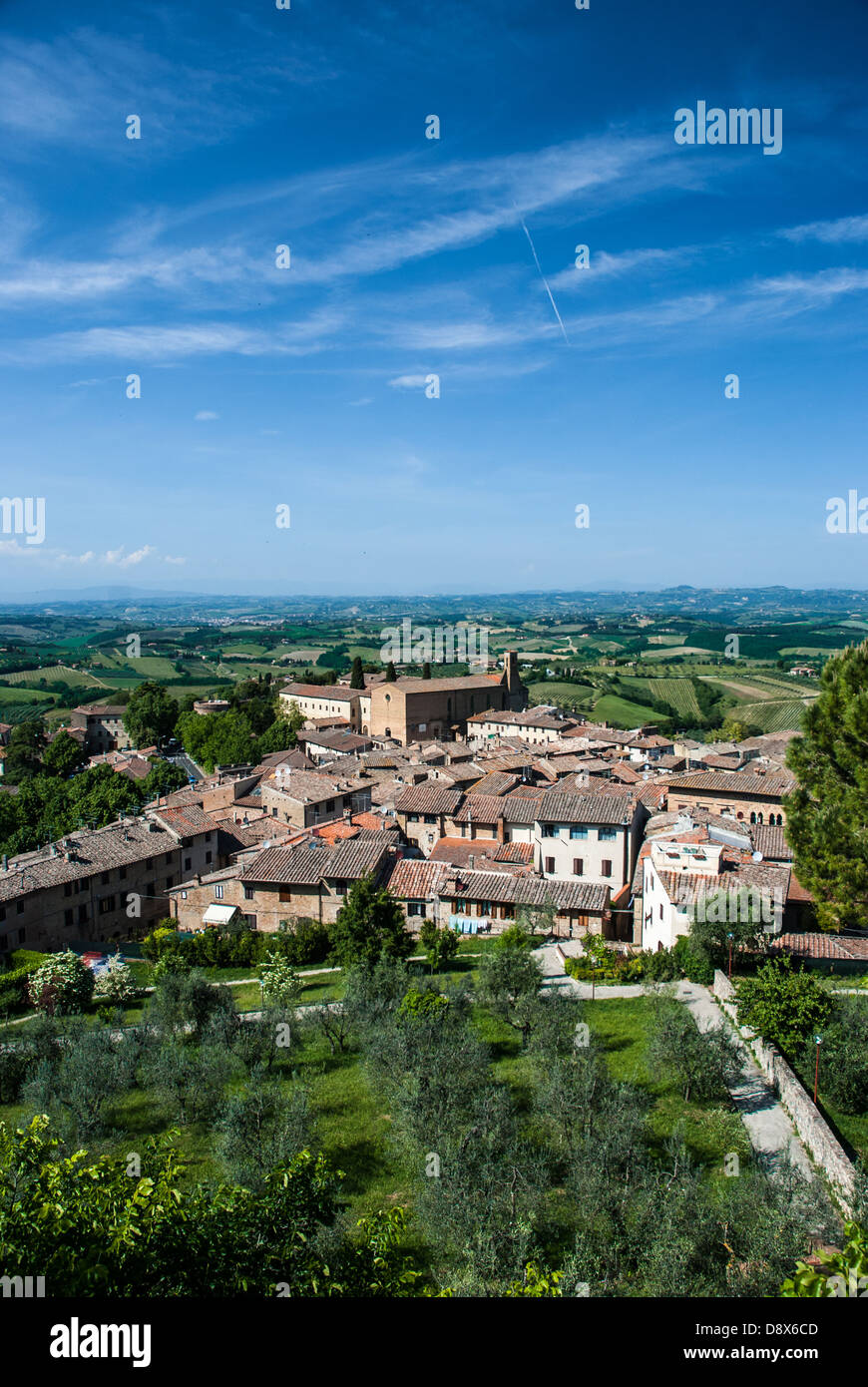 Vignoble et oliviers en Toscane (Toscana), Italie.paysage rural près de San Gimignano, village médiéval. Banque D'Images