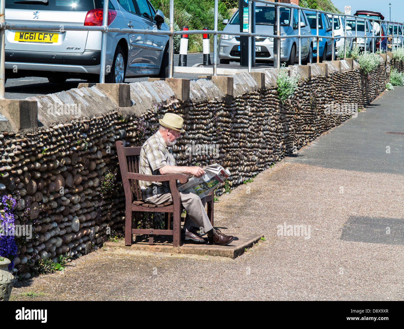 Homme lisant un journal sur un banc à Budleigh Salterton, Deon, Angleterre Banque D'Images