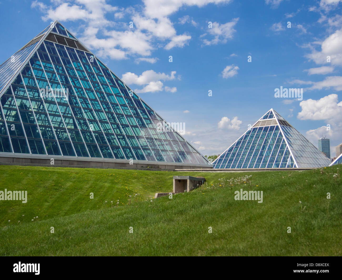 Ville d'Edmonton et le Muttart Conservatory pyramides de verre Banque D'Images