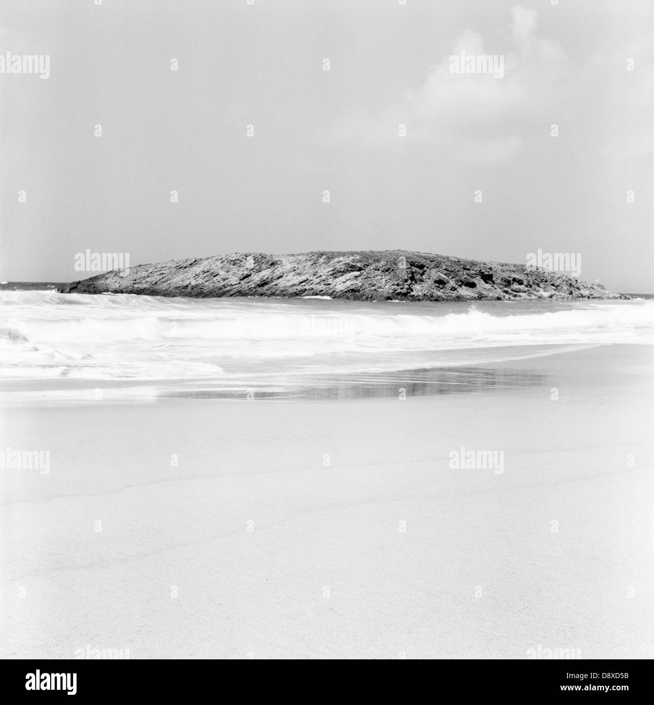 Canaries (B&W) Banque D'Images Canaries (B&W) Banque D'Images