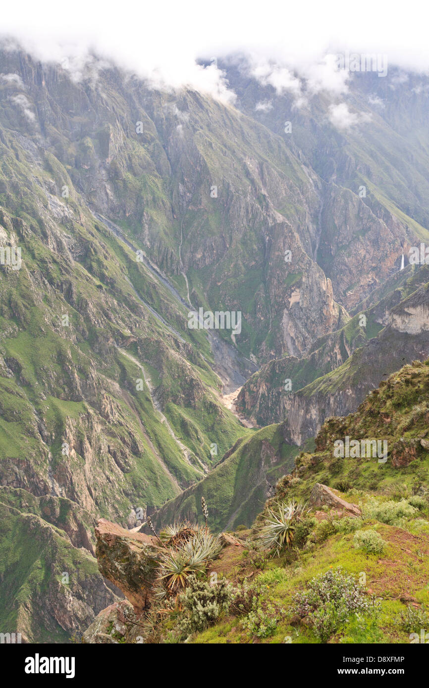 Cruz del Condor, Canyon de Colca, Pérou Banque D'Images