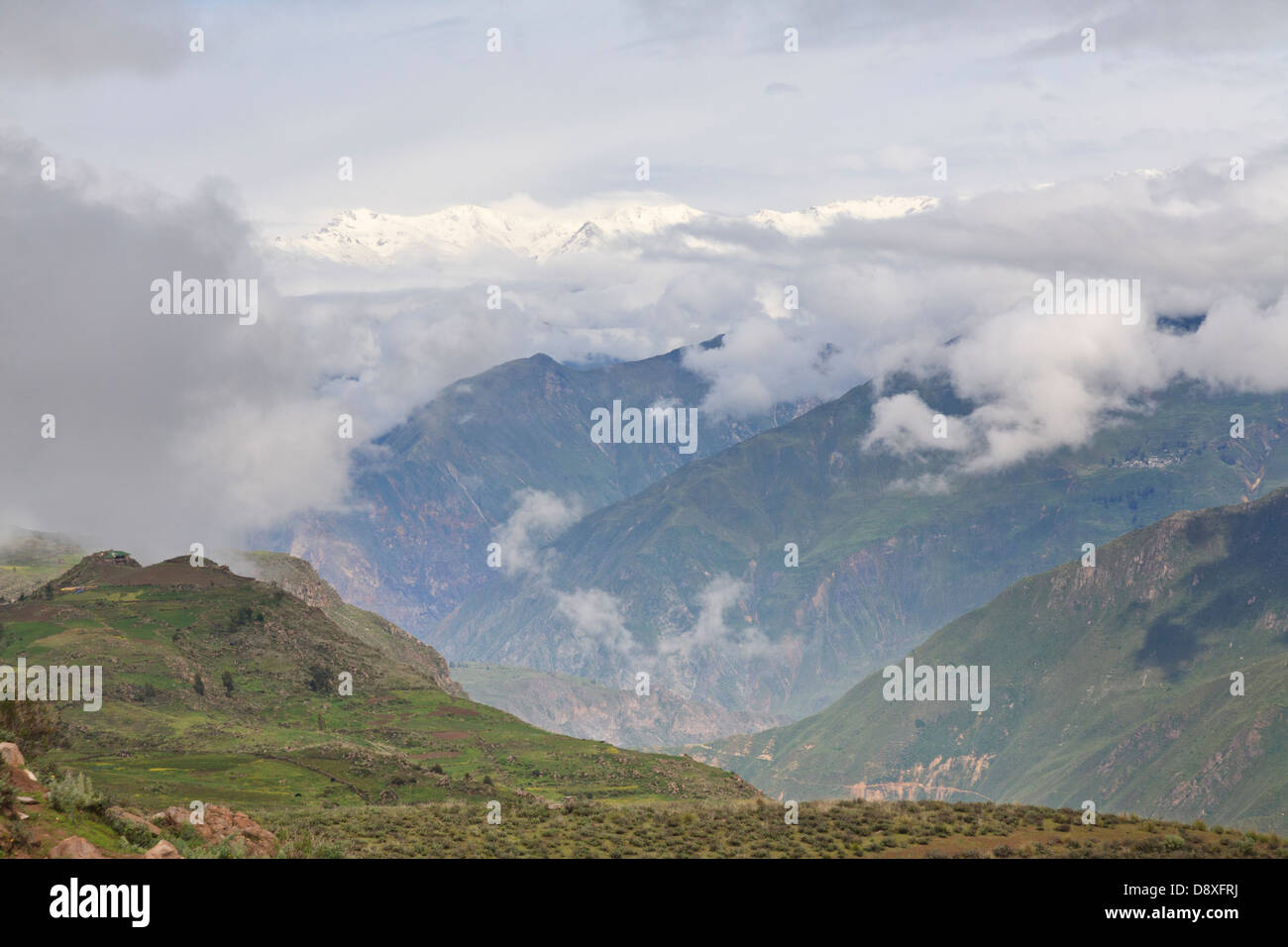 Cruz del Condor, Canyon de Colca, Pérou Banque D'Images