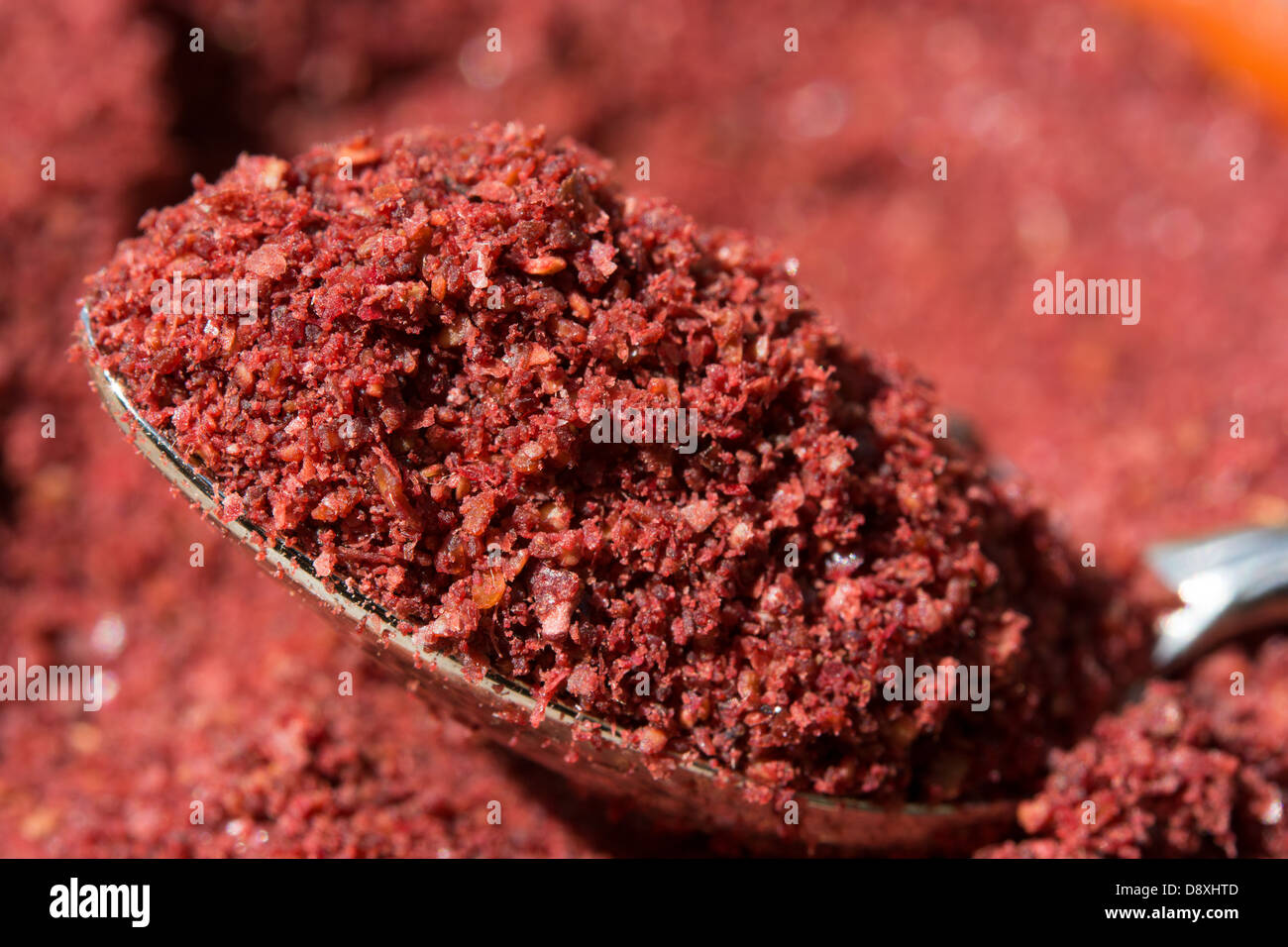 Rez-de sumac, une épice aigre-douce couramment utilisé dans la cuisine turque et du Moyen-Orient. Banque D'Images