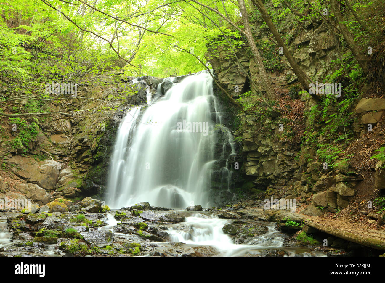 Cascade de frais vert, nom est Asamaootaki, Gunma, Japon Banque D'Images