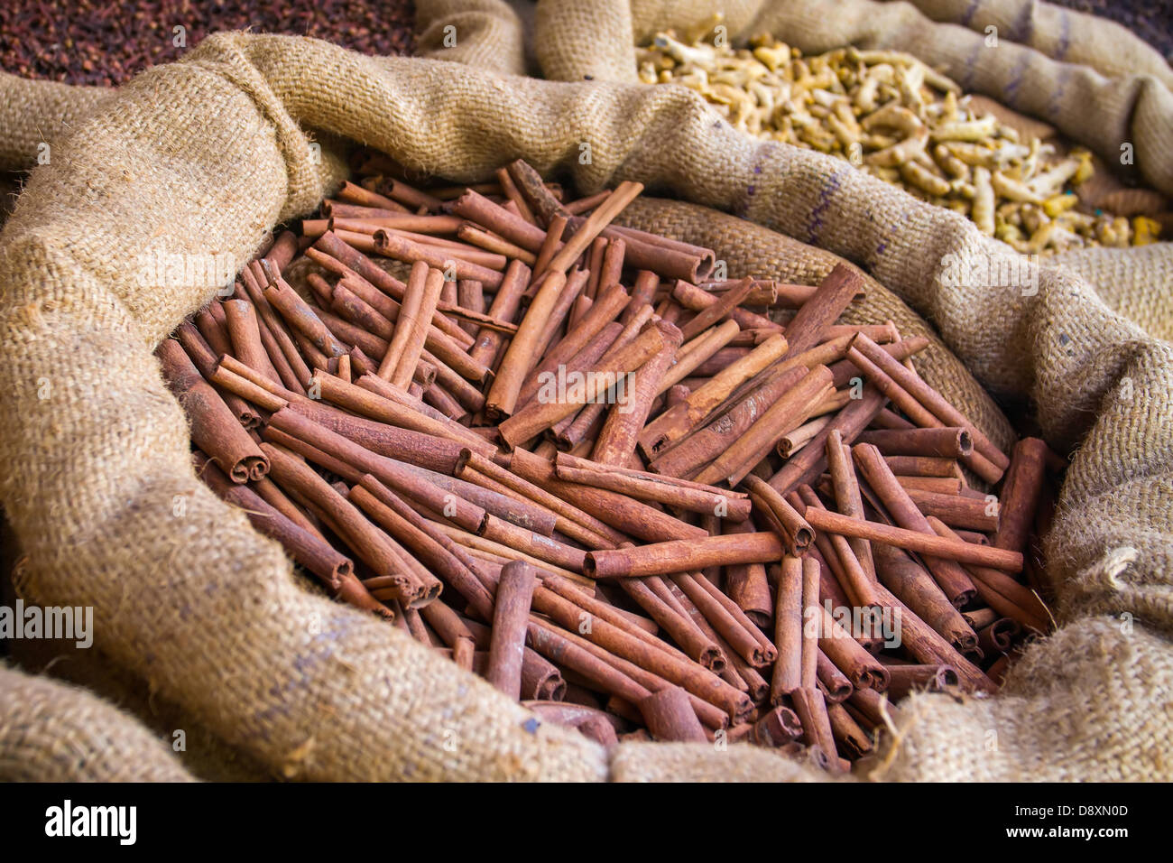 La cannelle et autres épices dans les sacs au marché indien Banque D'Images