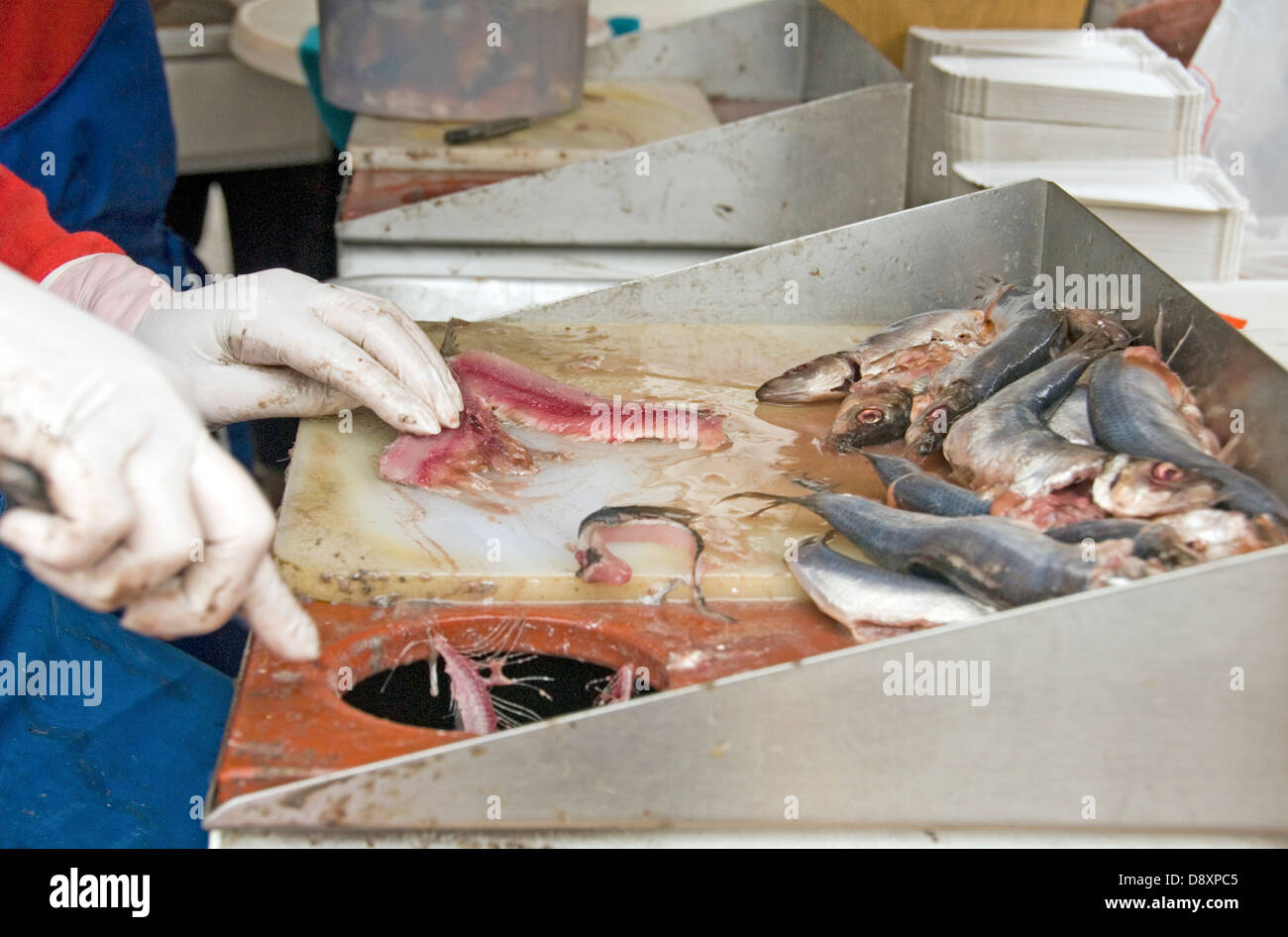 Aux Pays-Bas. Le sud du Limbourg ; MARCHÉ DE MAASTRICHT l'éviscération du poisson À HARENGS STALL Banque D'Images