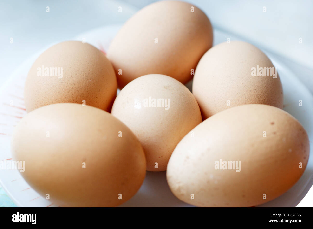 Une plaque d'œufs bio Banque D'Images